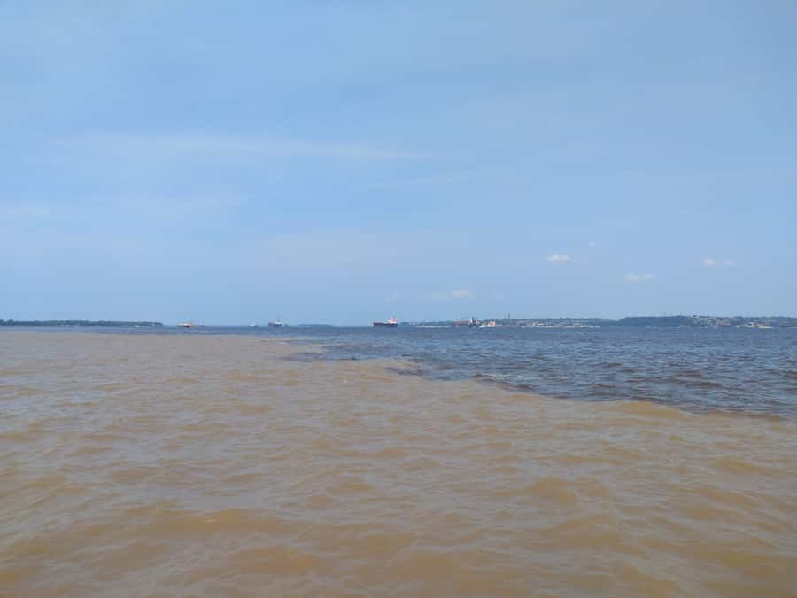 Amazon Safari® Manaus: Day trip on the Amazon River - Why this Manaus day trip has broad appeal