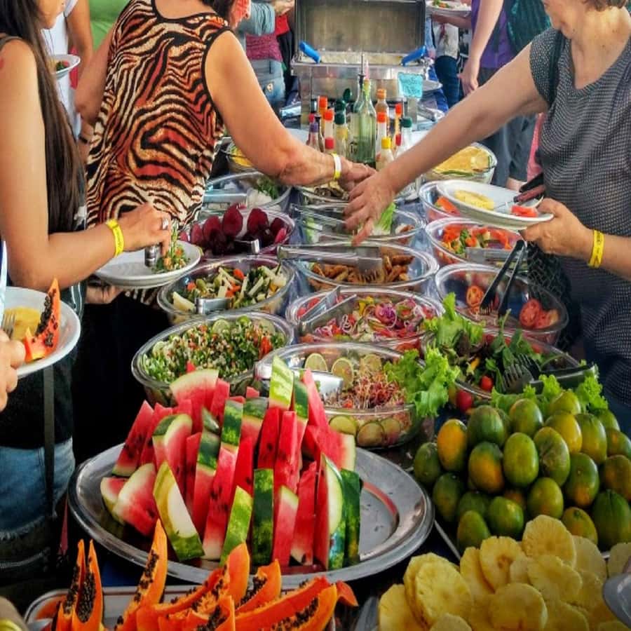 Amazon Safari® Manaus: Day trip on the Amazon River - The Pirarucu hatchery and regional lunch