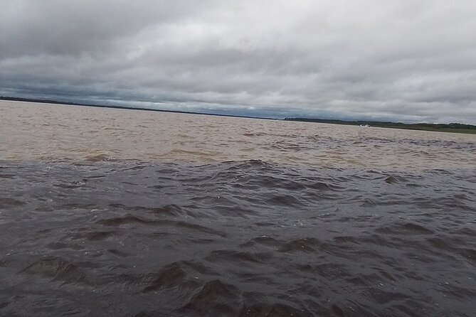 Amazon Safari Tour in Manaus (Shared) - An Indigenous village and a cultural encounter