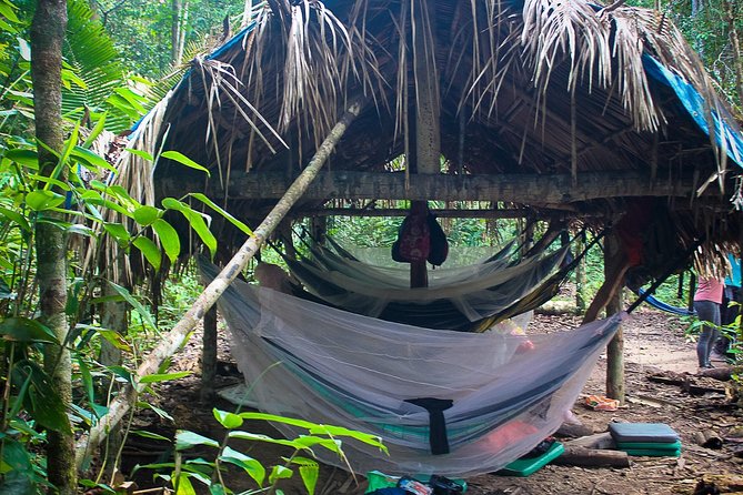 Amazon Survival Tour 4D/3N - Day two begins at 5:30 a.m.
