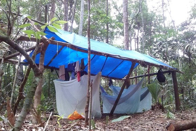 Amazon Survival Tour 4D/3N - Who will enjoy this Amazon trip most