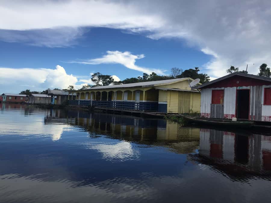 Amazonas: Boat Ride with a Local Amazonian - Giant water lilies and the flooded forest