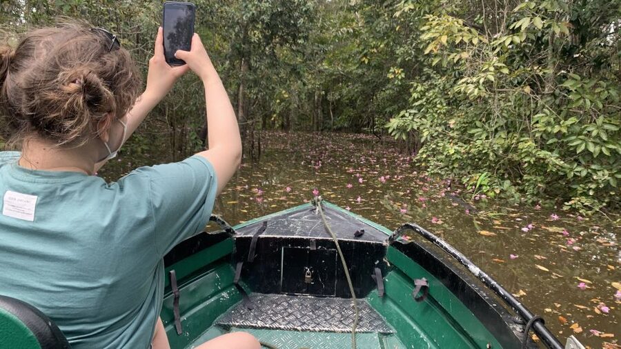 Amazonas: Boat Ride with a Local Amazonian - Meeting the Pirarucu, the river’s giant