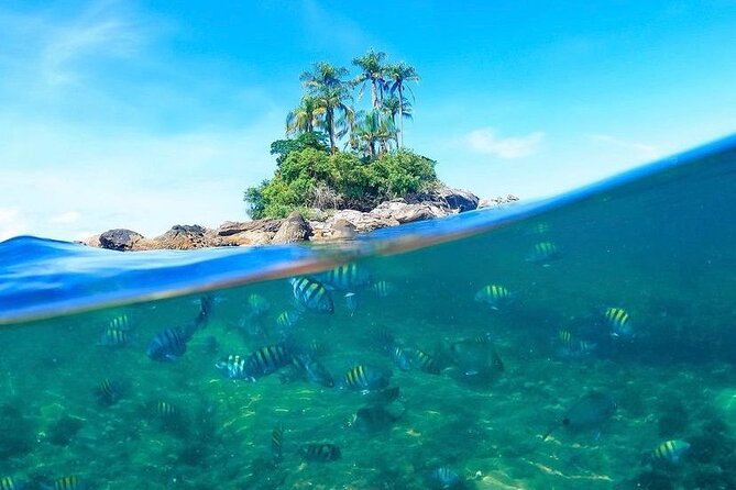 Angra dos Reis: A unique experience in paradise - The real shape of the day from Rio