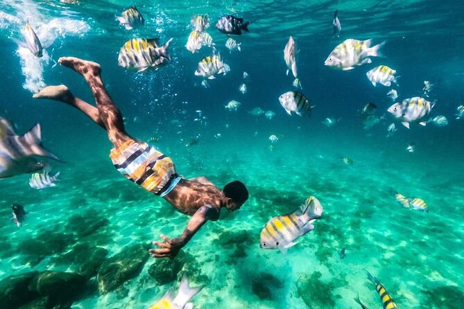 Angra dos Reis: A unique experience in paradise - Botinas Island gives you the first taste