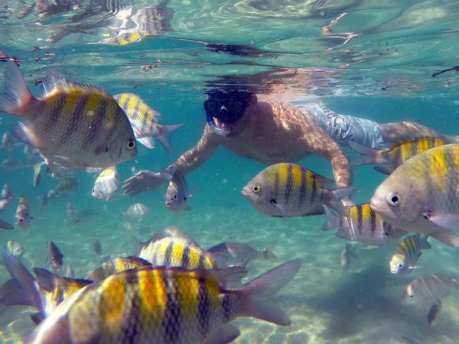 Angra dos Reis and Ilha Grande: Small-Group Fast-Boat Tour - Green Lagoon and the Best Time in the Water