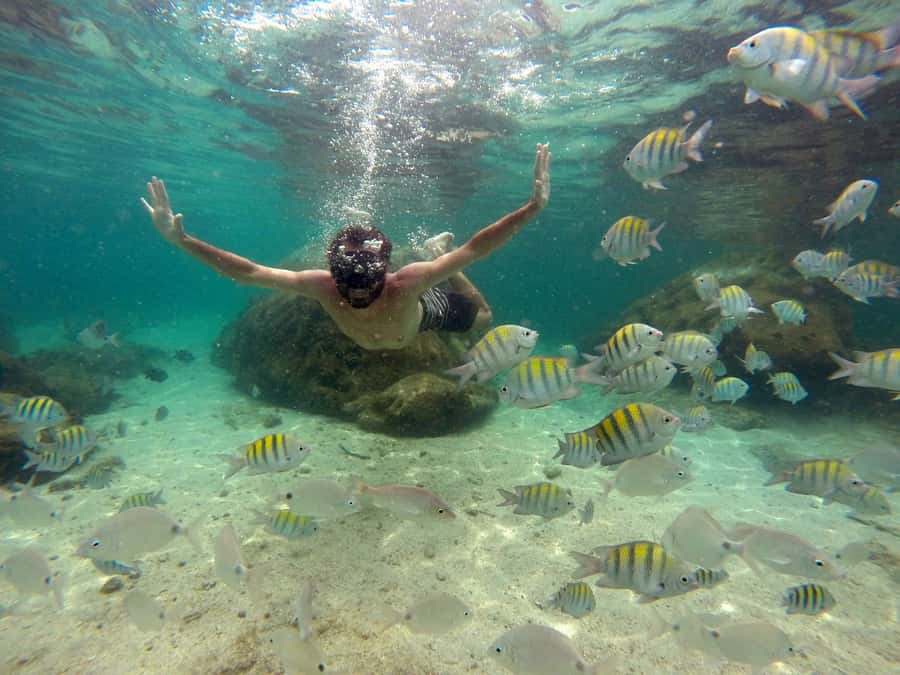 Angra dos Reis and Ilha Grande: Small-Group Fast-Boat Tour - Japariz Beach and the Late Lunch Problem