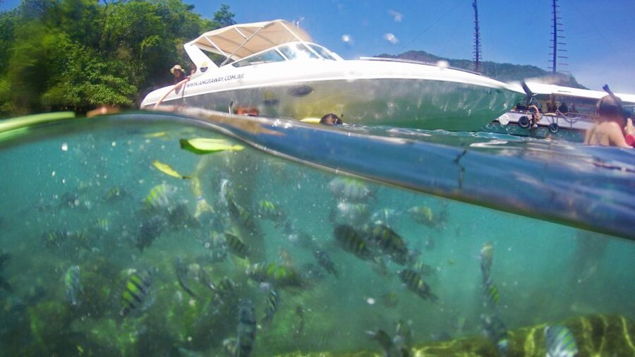 Angra dos Reis: Super Lagoa Azul Speedboat Tour - Flechas Beach and the Lunch Tradeoff