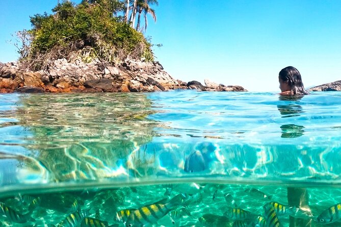 Angra Paradise Islands Speedboat Tour - Key points to know before you book