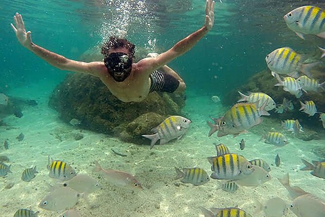 Angra Paradise Islands Speedboat Tour - What this Angra boat trip is really like