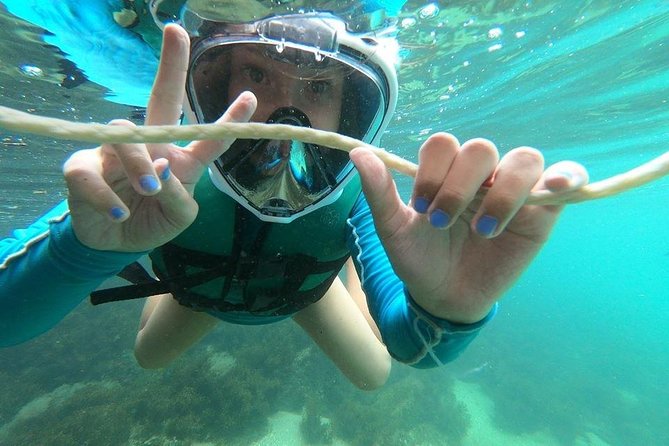 Aqua Aventura - diving for families - What Aqua Aventura actually offers