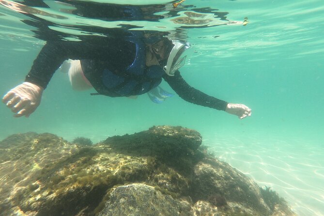 Aqua Aventura - diving for families - Starting at Sepultura Beach