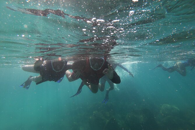 Aqua Aventura - diving for families - Why the guide matters for families