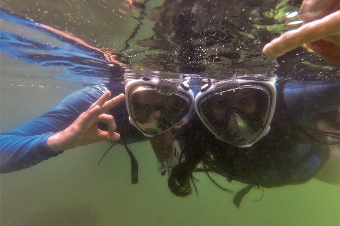 Aqua Aventura - diving for families - Water clarity is the key variable