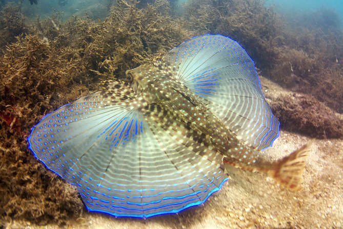 Aqua Aventura - diving for families - Moving on to Praia Do Bigua
