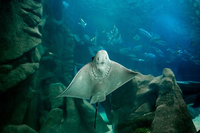 AquaRio and Biopark half-day tour - Is $108.08 a fair price?
