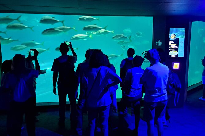 AquaRio and Biopark half-day tour - Practical advice for a smoother morning