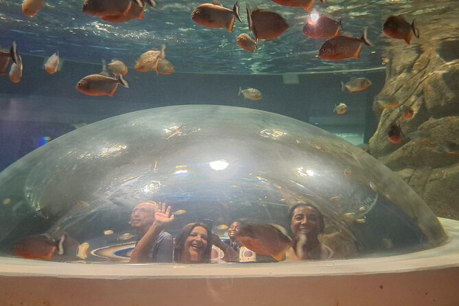 AquaRio and Biopark half-day tour - AquaRio: two hours beneath the surface