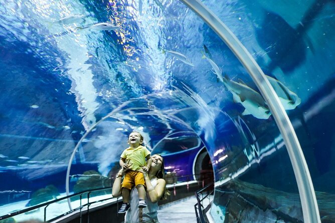 AquaRio, Museum, Boulevard Olimpico, Ferris Wheel, Transport and Tourism Guide. - Why this half-day tour works in Rio
