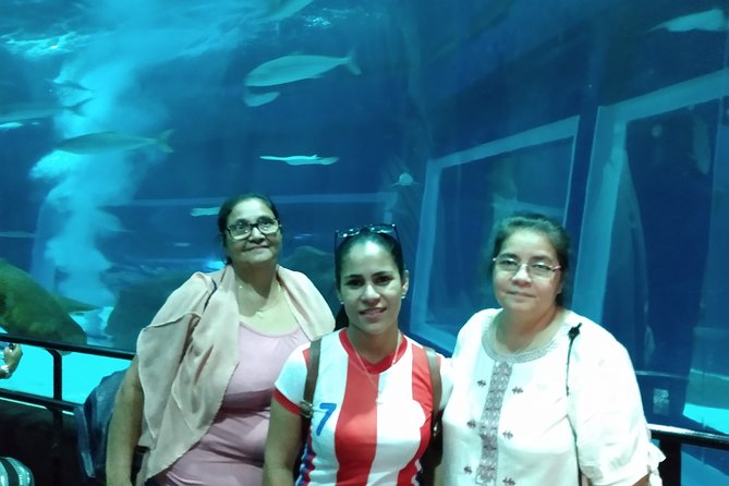 AquaRio + Olympic Boulevard + Transportation - Why this Rio half-day outing works