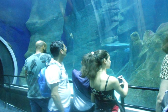 AquaRio + Olympic Boulevard + Transportation - Who should book this experience