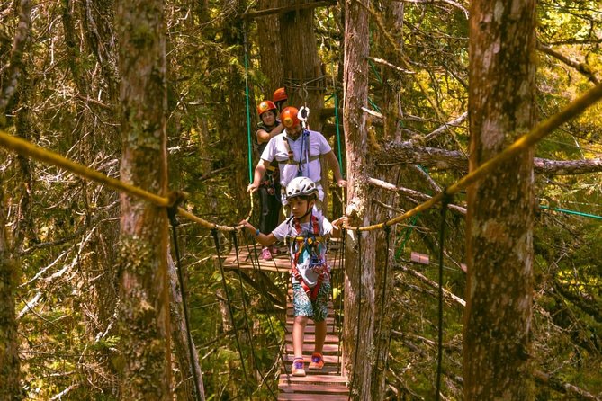 Arborismo in Horto Florestal - Campos Do Jordão - Key points to know before you go