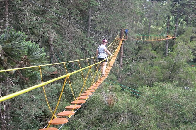 Arborismo in Horto Florestal - Campos Do Jordão - What the 30-minute arborism course is like