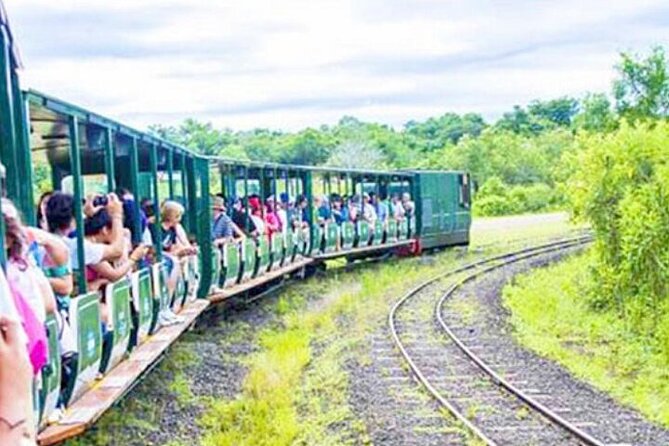 Argentine & Brazil Falls Full-day Private Tour with Tickets - Weather, Mist, and Practical Comfort