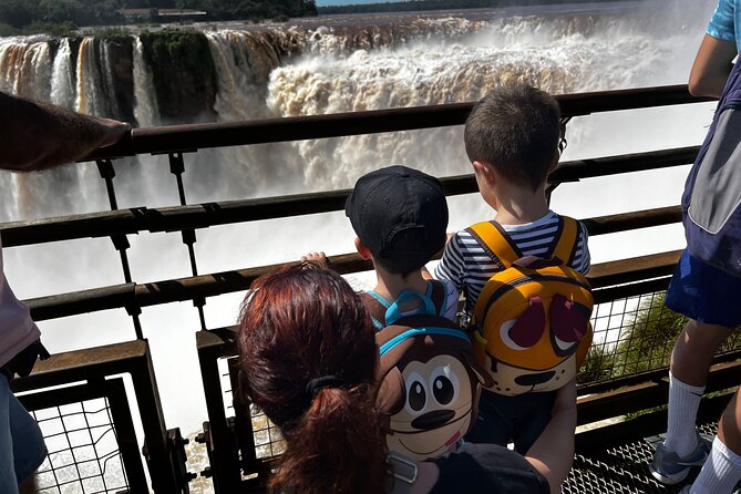 Argentine Iguazu Falls + City Tour + Tri-Country Corner - Is $47.92 a good value?