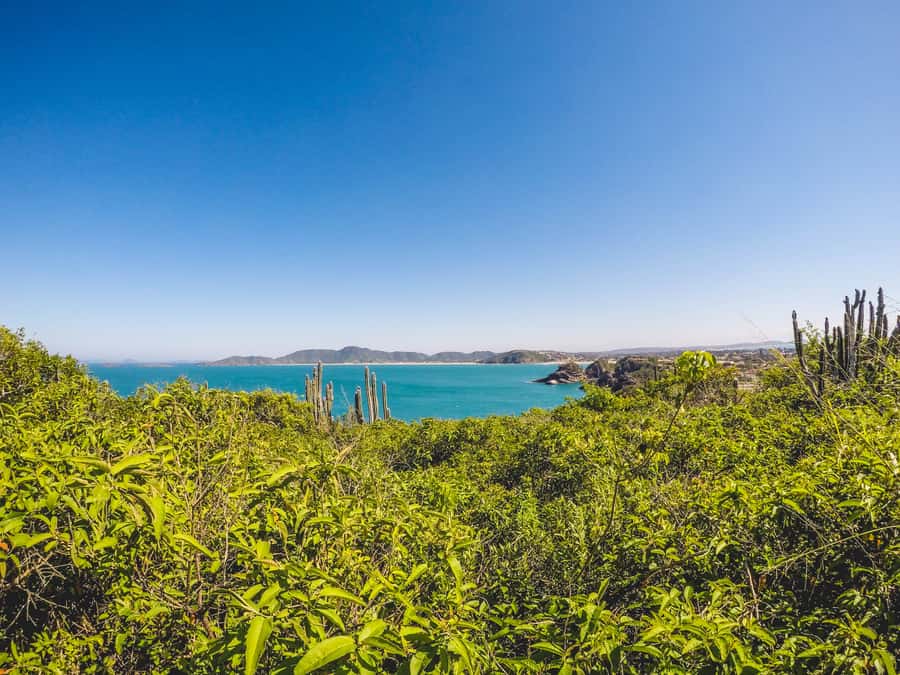 Armação dos Búzios: Walk Through the Natural Pools in Búzios - Who will enjoy this Búzios experience most?