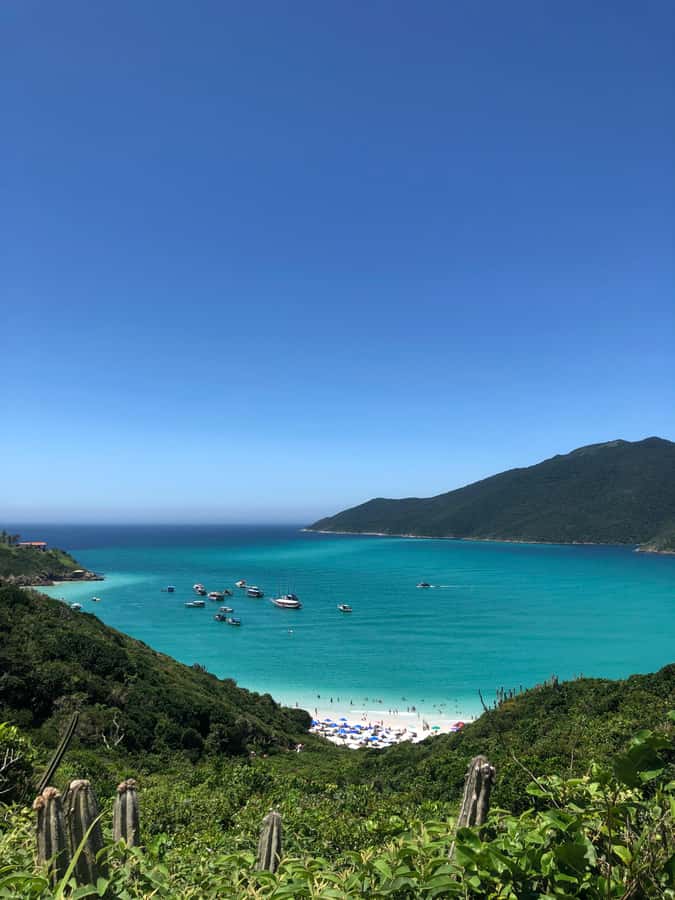 Arraial do Cabo: Boat Trip with Waterslide - Key points to know before booking
