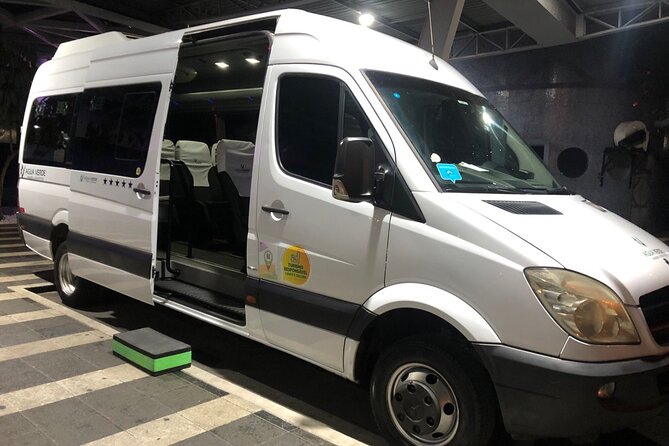 Arrival Transfer from Recife Airport to Porto de Galinhas - A private minivan with practical comforts