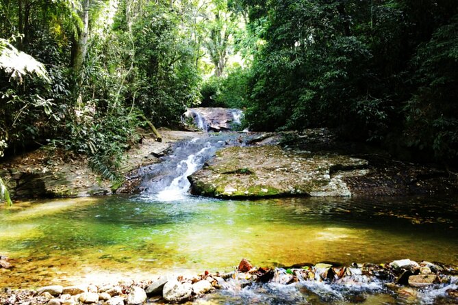Atlantic Forest Tour: Christ the Redeemer and Tijuca Forest - Pickup, Group Size, and Timing