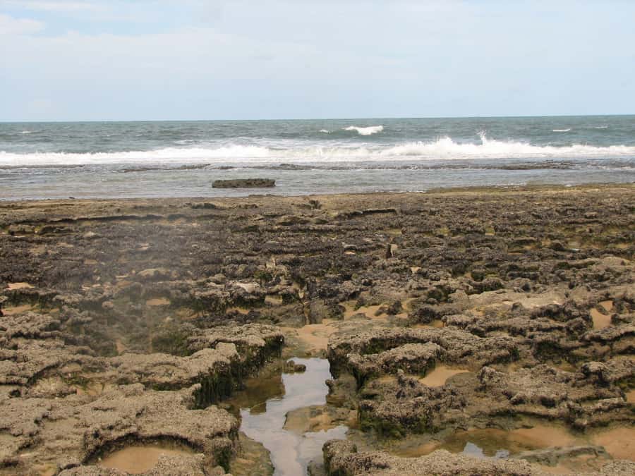 Barra do Cunhaú Full-Day Trip from Natal - Key points to know before you go