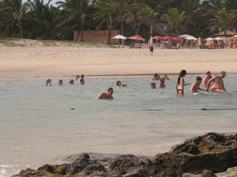 Barra do Cunhaú Full-Day Trip from Natal - A catamaran through mangroves and small beaches