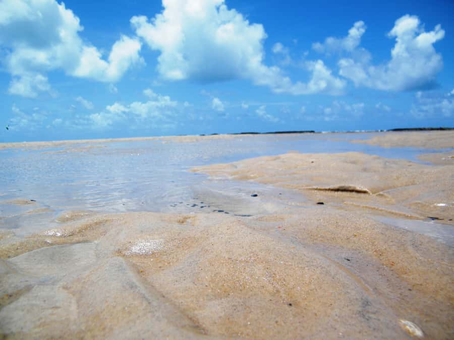 Barra do Cunhaú Full-Day Trip from Natal - Who will enjoy Barra do Cunhaú most