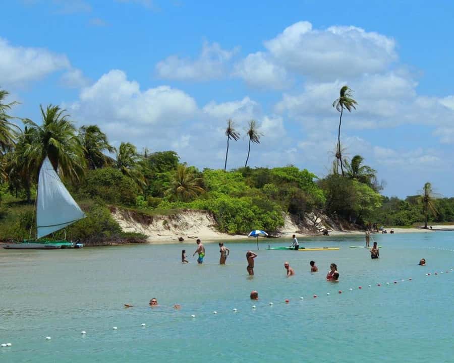 Barra do Cunhaú Full-Day Trip from Natal - Seeing shrimp farms at the river mouth