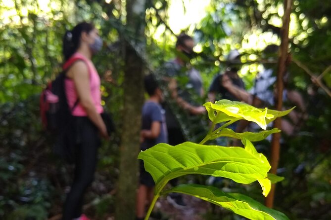 Bathing in the Forest Trail in Foz do Iguaçu - Starting at the Visitor Center bus terminal