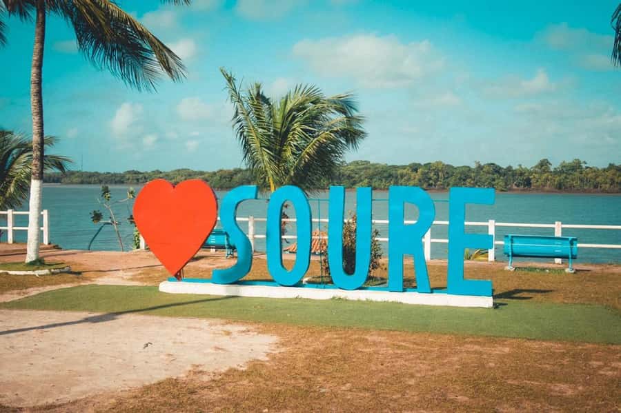 Belém: 2, 3 or 4-Day Marajó Island Excursion with Lodging - Who Will Enjoy This Trip Most?