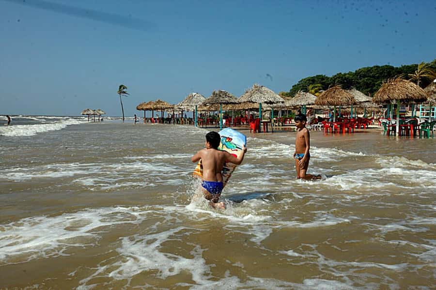 Belém: 2, 3 or 4-Day Marajó Island Excursion with Lodging - Ceramics, Leatherwork, and Marajoara Traditions