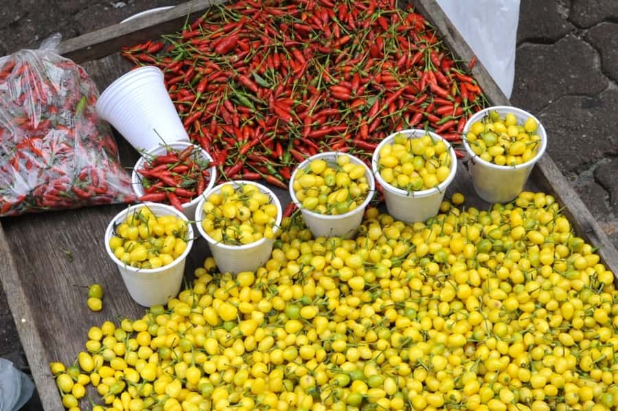 Belém: Half-Day City Tour with Ver-o-Peso Market Visit - Key points at a glance