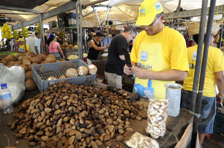 Belém: Half-Day City Tour with Ver-o-Peso Market Visit - Guides, languages, and the personal touch