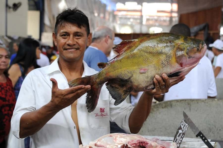Belém: Half-Day City Tour with Ver-o-Peso Market Visit - Ver-o-Peso Market: start with Belém’s everyday life