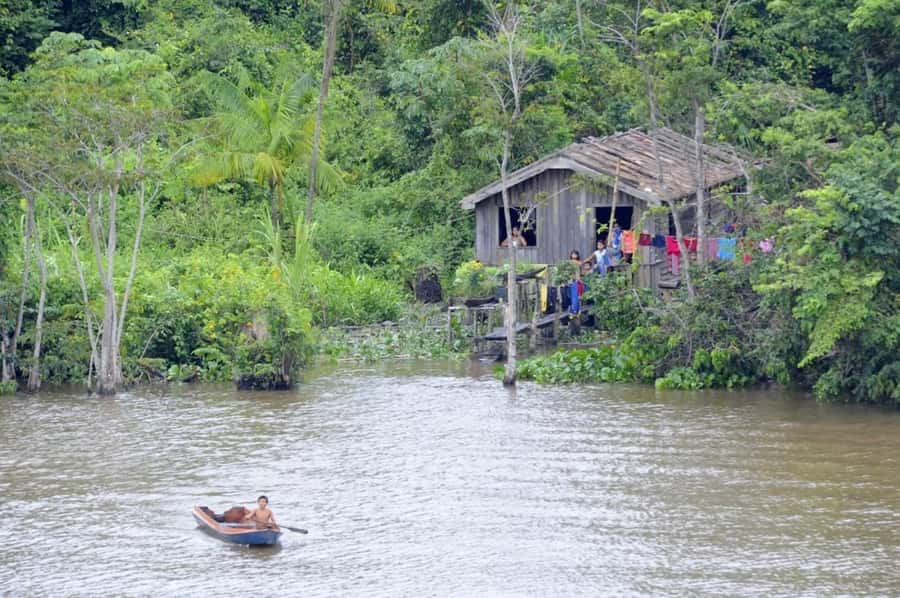 Belém: Half-Day Furos Boat Tour & Riverside Community Visit - Key points at a glance