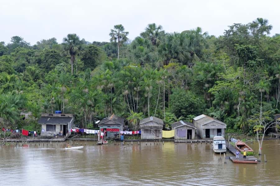 Belém: Half-Day Furos Boat Tour & Riverside Community Visit - Who will enjoy this tour most?