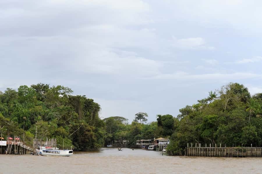 Belém: Half-Day Furos Boat Tour & Riverside Community Visit - What a furo reveals about the Amazon