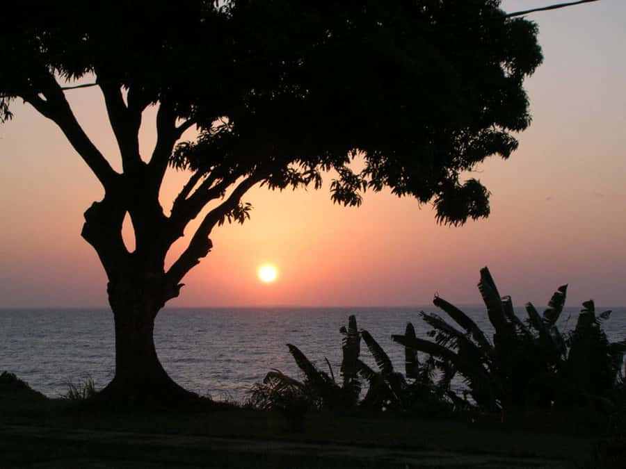 Belém: Ilha do Mosqueiro River Beach Trip - Who will enjoy this river beach trip