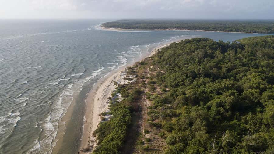 Belém: Marajó Island Day Trip with Buffalo Farm Visit - Souré route: buffaloes, crafts, and Pesqueiro Beach