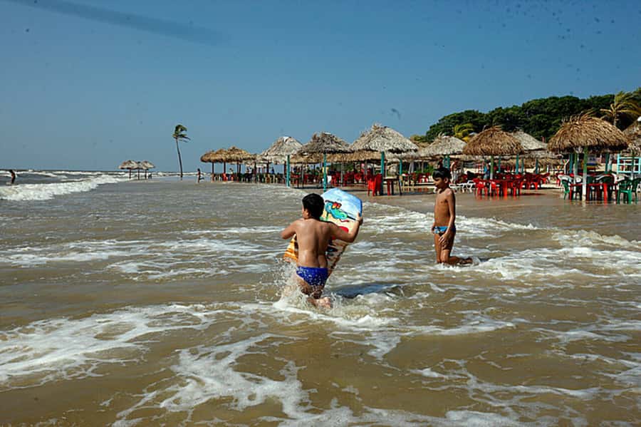 Belém: Marajó Island Day Trip with Buffalo Farm Visit - Beaches, lunch, and the practical rhythm of the day