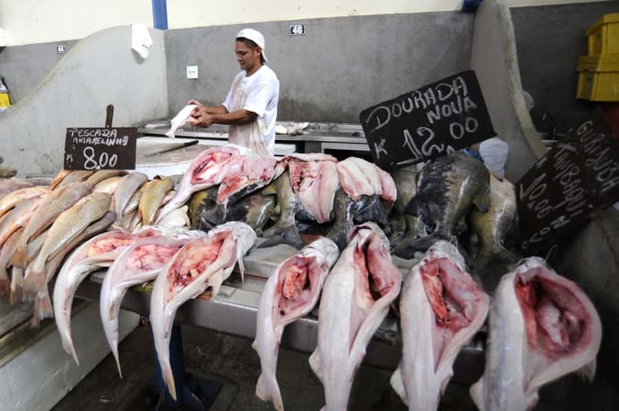 Belém: Ver-o-Peso Market and Full-Day City Tour with Lunch - Why this Belém tour makes sense